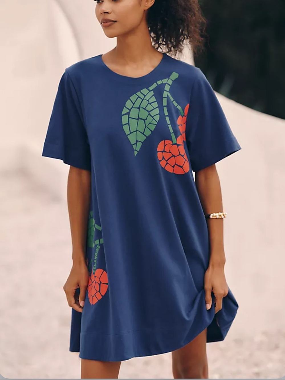 NWOT Oversized Celandine Graphic Short-Sleeve Mini Swing Dress